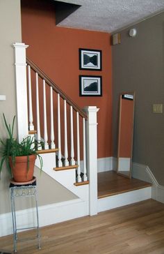 an orange wall with white railings and stairs in a house, next to a potted plant