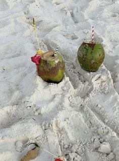 two coconuts sitting in the sand next to each other with straws sticking out of them