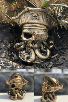 there are three pictures of an octopus skull and a pirate's hat on display