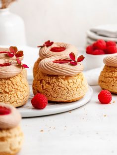 small desserts with raspberries on a white plate next to some other pastries