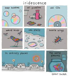 the comic strip shows different types of bubbles and other things that can be seen in them