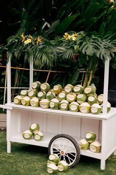 a cart filled with coconuts sitting on top of a lush green field