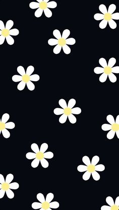 white and yellow flowers on black background