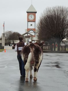 two people are walking down the street with their horses in front of a clock tower