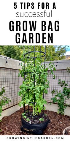 a garden with plants growing in it and the words 5 tips for a successful grow bag garden