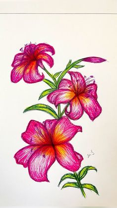 a drawing of three pink flowers with green leaves