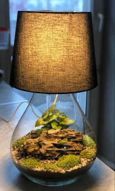 a lamp that is on top of a table with some plants in it and moss