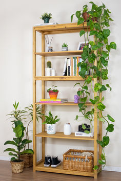 a wooden shelf filled with lots of plants