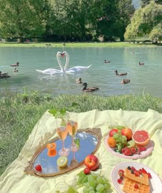 a picnic with fruit, waffles and watermelon on the grass