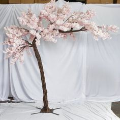 a small tree with pink flowers in front of a white backdrop on a table cloth