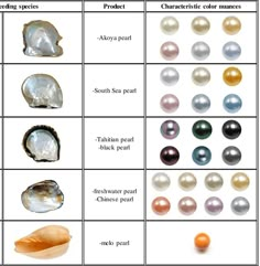 Types Of Pearls, Gemstones Chart, Art Coquillage, Pearl Stone, Minerals And Gemstones, Tahitian Pearls, Gems And Minerals