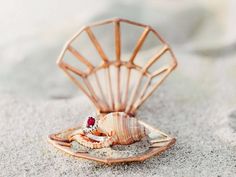 a shell with a ring on it sitting in the sand