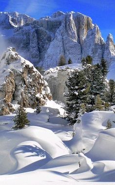 the mountains are covered in snow and trees