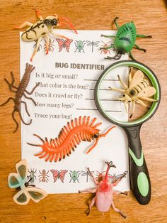 bugs and insects are on the table next to a magnifying glass that says bug identifier