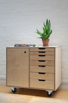 a potted plant sitting on top of a wooden cabinet