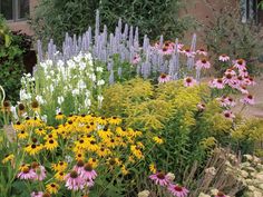 many different types of flowers in a garden