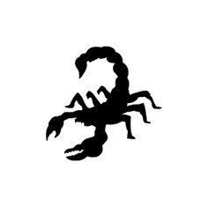 the silhouette of a scorpion on a white background