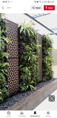 an outdoor living wall with plants growing on it