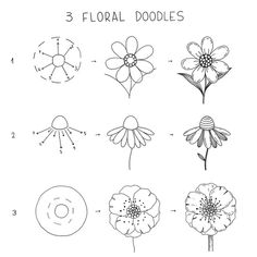 flowers are shown with the words floral doodles written below them, and an image of three