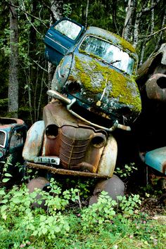 an old rusted out car sitting in the middle of some trees and bushes with moss growing on it