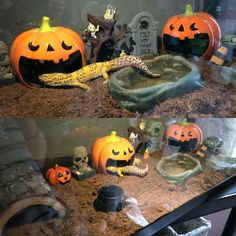 pumpkins and other halloween decorations on display in a glass case