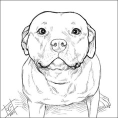 a black and white drawing of a dog