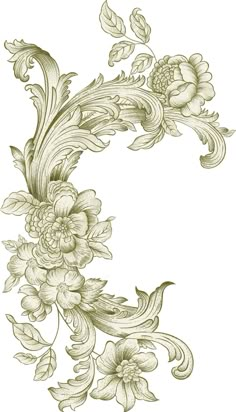 the letter c is made up of flowers and leaves on a white background with an ornate design