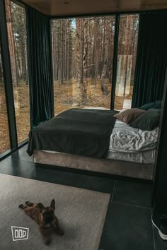 a dog laying on the floor in front of a bedroom with large windows and curtains