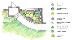 a drawing of a garden with different plants and flowers on it's side walk