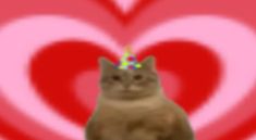 a cat with a party hat sitting in front of a heart