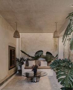 a living room filled with furniture and plants