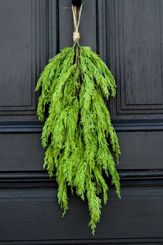 a bunch of green leaves hanging from the side of a black front door with wood paneling