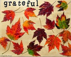 an image of fall leaves with the words grateful