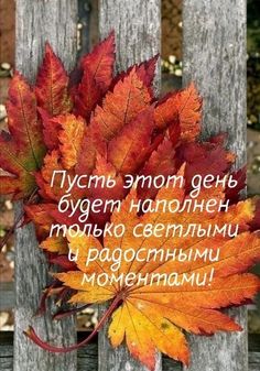 an orange and red leaf on top of a wooden fence with the words in russian above it