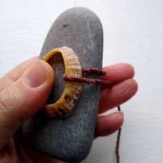 a hand holding a piece of food on top of a rock in front of a white wall