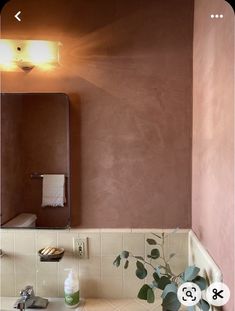 a bathroom sink with a mirror above it and a plant in front of the sink