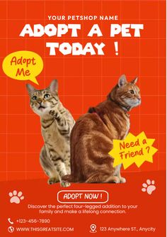 an advertisement with two cats on the front and back of it that says adopt a pet today