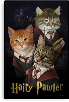 three cats dressed up as harry potter and the cat in front is wearing a tie