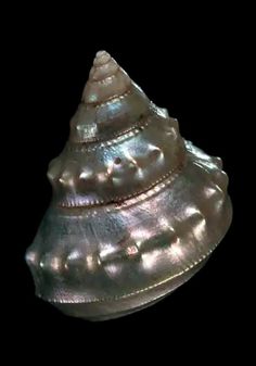 a metal object that looks like it is in the shape of a cone on a black background