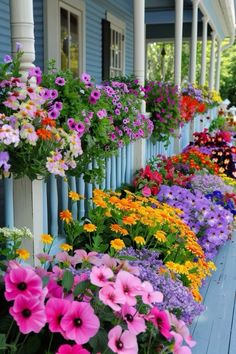 colorful flowers line the side of a blue house