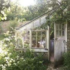 an old greenhouse with plants growing around it