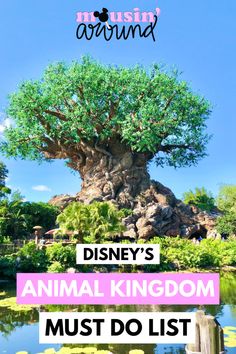 the animal kingdom must do list for disney's animal kingdom, but it doesn't