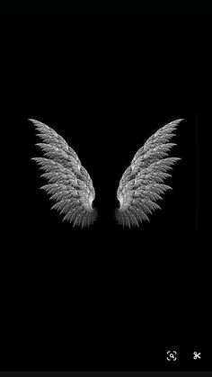 two white angel wings on a black background