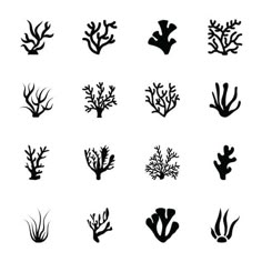 the silhouettes of seaweed and corals are shown in black on a white background