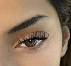 Lashes Wispy Cat Eye, Eyelashes Aesthetic Natural, Subtle Eyelash Extensions, Feline Eyes, Doe Eye Lash Extension, Lash Extensions Wispy, Kitten Eyelash Extensions, Classic Lash Cat Eye, Brown And Black Eyelash Extensions