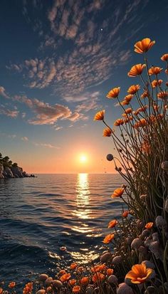 the sun is setting over the water and flowers are blooming