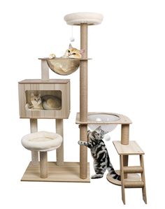 a cat standing on its hind legs in front of a cat tree