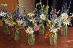 several vases filled with different types of flowers