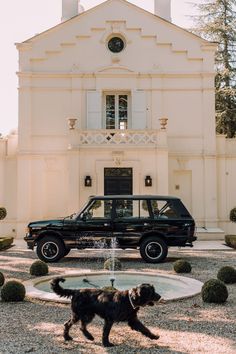 a black car parked in front of a large white building with a fountain and dog