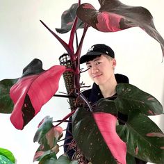 a young man standing next to a large plant with pink flowers on it's leaves